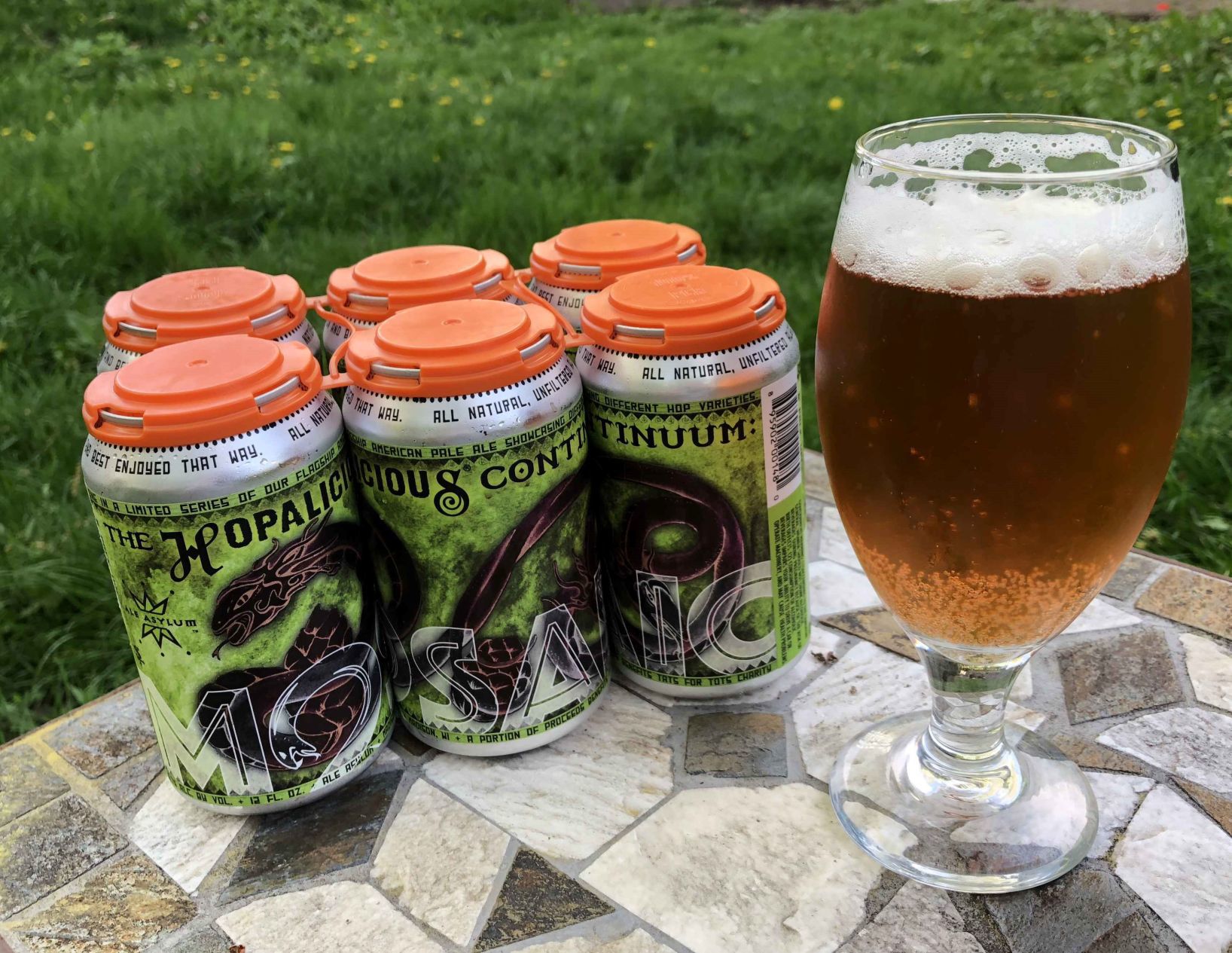 Hopalicious Continuum: Mosaic